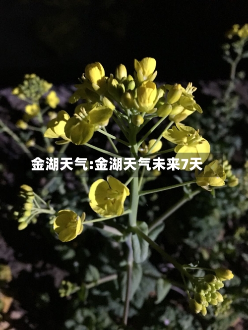 金湖天气:金湖天气未来7天-第1张图片