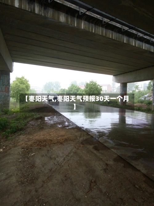 【枣阳天气,枣阳天气预报30天一个月】-第1张图片