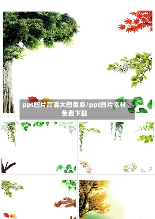ppt图片高清大图免费/ppt图片素材免费下载-第1张图片