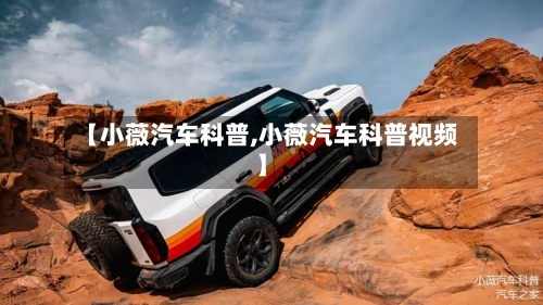 【小薇汽车科普,小薇汽车科普视频】-第1张图片