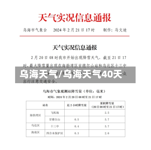 乌海天气/乌海天气40天-第1张图片