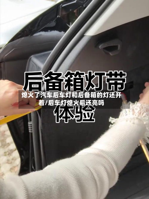 熄火了汽车后车灯和后备箱的灯还开着/后车灯熄火后还亮吗-第1张图片