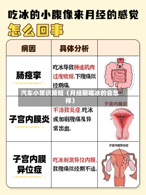 汽车小常识简短(月经期喝冰的会怎样)-第1张图片