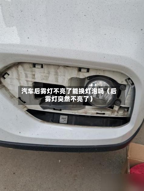 汽车后雾灯不亮了能换灯泡吗(后雾灯突然不亮了)-第1张图片