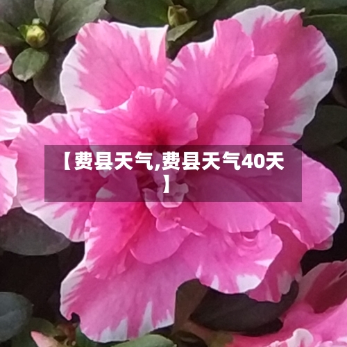 【费县天气,费县天气40天】-第1张图片
