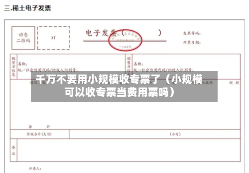 千万不要用小规模收专票了（小规模可以收专票当费用票吗）-第1张图片