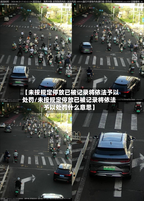 【未按规定停放已被记录将依法予以处罚/未按规定停放已被记录将依法予以处罚什么意思】-第1张图片