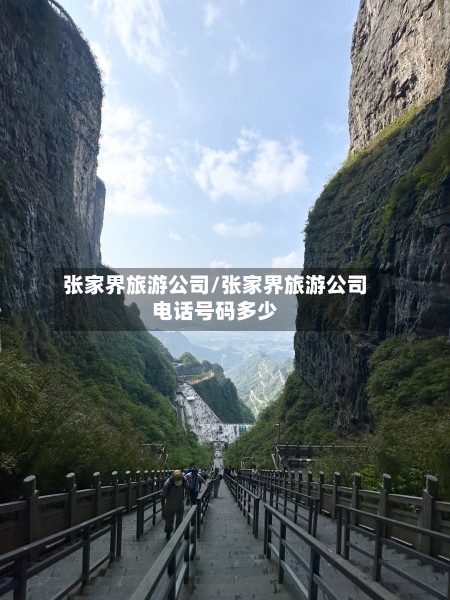 张家界旅游公司/张家界旅游公司电话号码多少-第1张图片