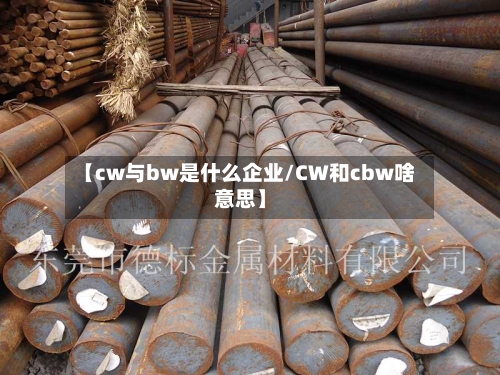 【cw与bw是什么企业/CW和cbw啥意思】-第1张图片