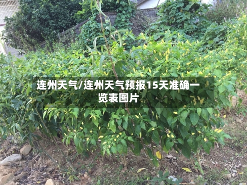 连州天气/连州天气预报15天准确一览表图片-第1张图片