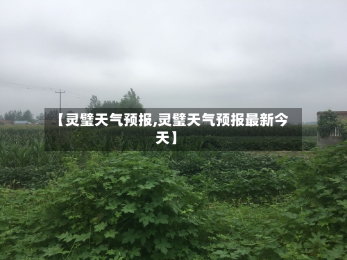 【灵璧天气预报,灵璧天气预报最新今天】-第1张图片