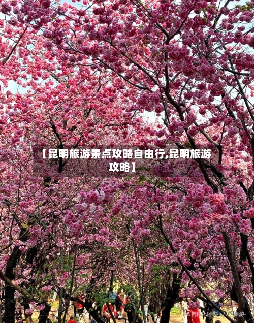 【昆明旅游景点攻略自由行,昆明旅游攻略】-第1张图片