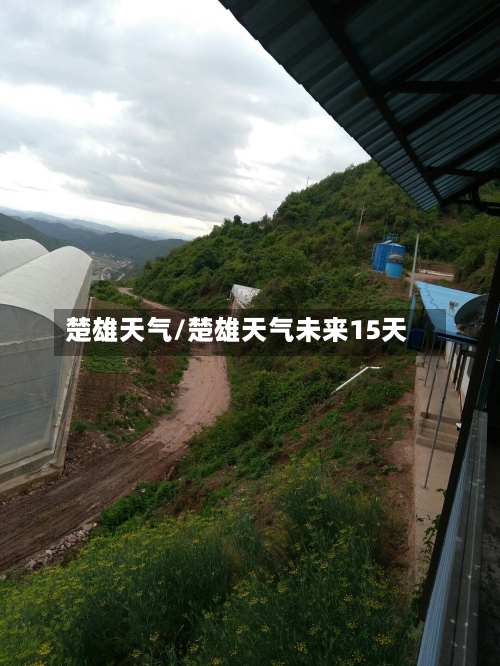 楚雄天气/楚雄天气未来15天-第1张图片