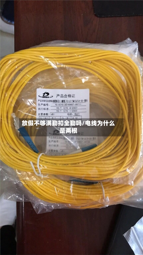 放假不够满勤扣全勤吗/电线为什么是两根-第1张图片