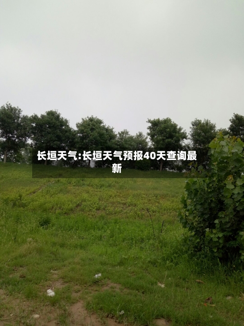 长垣天气:长垣天气预报40天查询最新-第1张图片