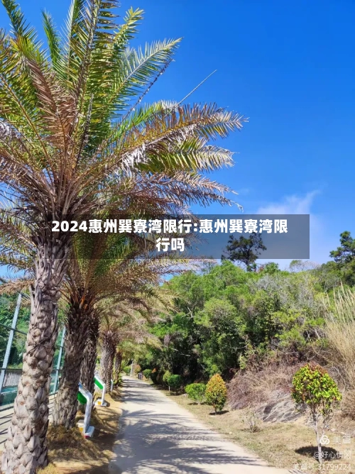2024惠州巽寮湾限行:惠州巽寮湾限行吗-第1张图片