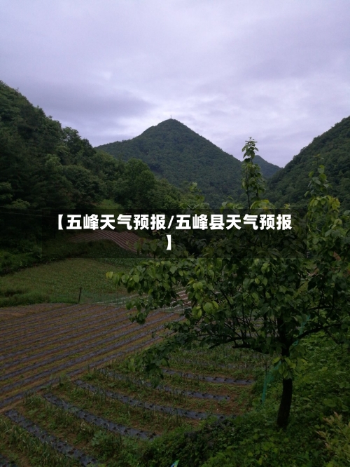 【五峰天气预报/五峰县天气预报】-第1张图片