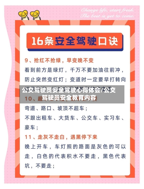 公交驾驶员安全驾驶心得体会/公交驾驶员安全教育内容-第1张图片