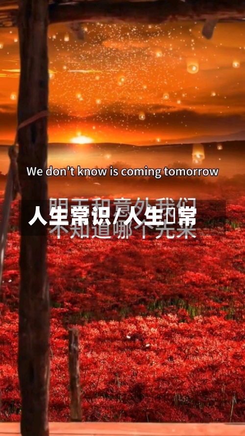人生常识/人生無常-第1张图片