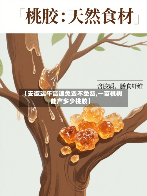 【安徽端午高速免费不免费,一亩桃树能产多少桃胶】-第1张图片