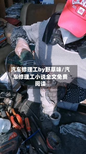 汽车修理工by野草味/汽车修理工小说全文免费阅读-第1张图片