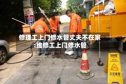 修理工上门修水管丈夫不在家:维修工上门修水管-第1张图片