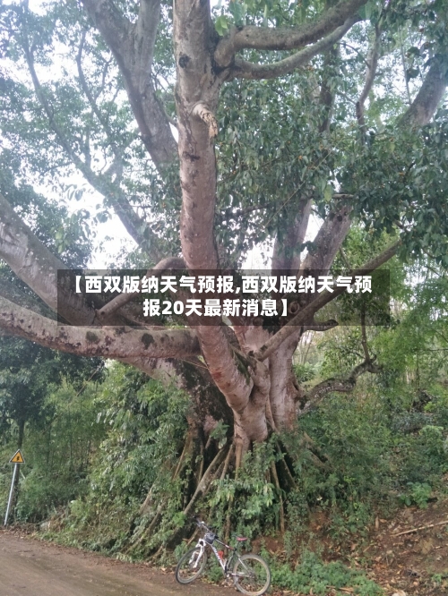 【西双版纳天气预报,西双版纳天气预报20天最新消息】-第1张图片