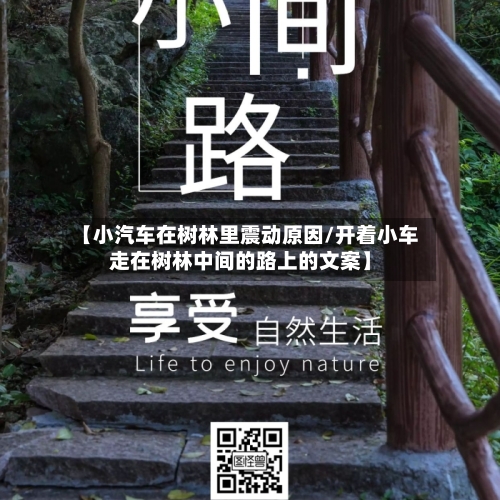 【小汽车在树林里震动原因/开着小车走在树林中间的路上的文案】-第1张图片