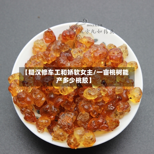 【糙汉修车工和娇软女主/一亩桃树能产多少桃胶】-第1张图片