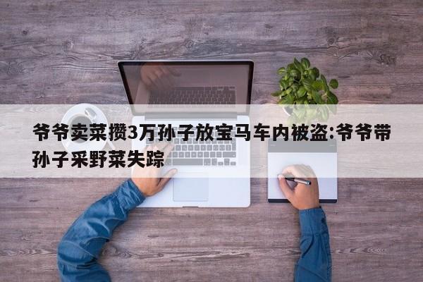 爷爷卖菜攒3万孙子放宝马车内被盗:爷爷带孙子采野菜失踪