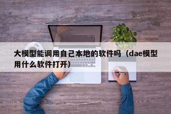 大模型能调用自己本地的软件吗(dae模型用什么软件打开)