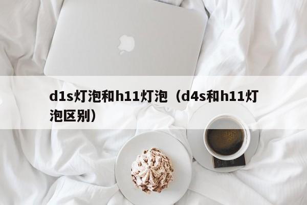 d1s灯泡和h11灯泡(d4s和h11灯泡区别)