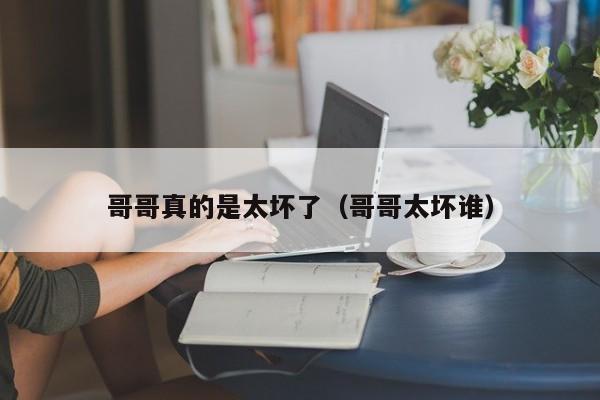 哥哥真的是太坏了(哥哥太坏谁)