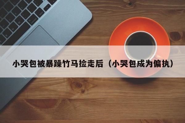小哭包被暴躁竹马捡走后(小哭包成为偏执)