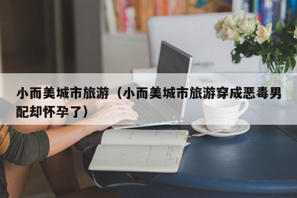 小而美城市旅游(小而美城市旅游穿成恶毒男配却怀孕了)