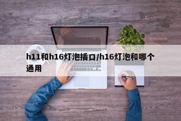 h11和h16灯泡插口/h16灯泡和哪个通用