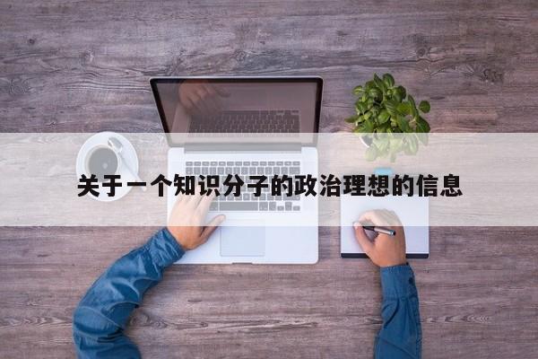 关于一个知识分子的政治理想的信息