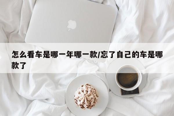 怎么看车是哪一年哪一款/忘了自己的车是哪款了