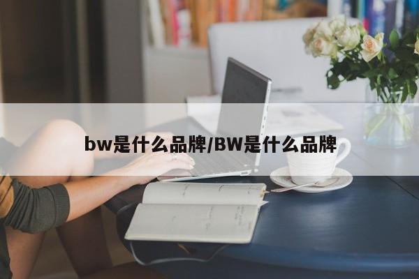bw是什么品牌/BW是什么品牌