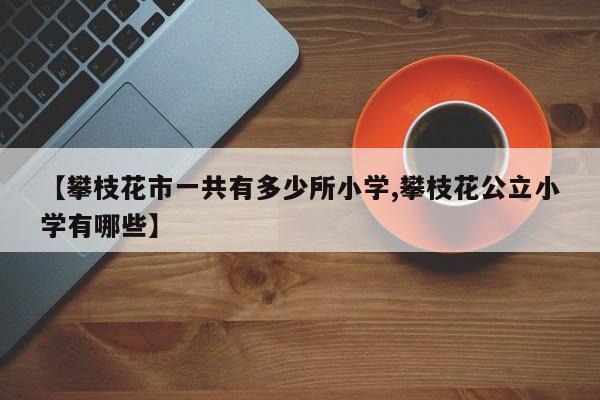【攀枝花市一共有多少所小学,攀枝花公立小学有哪些】
