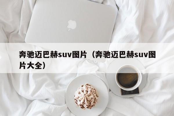 奔驰迈巴赫suv图片(奔驰迈巴赫suv图片大全)