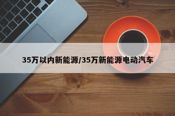 35万以内新能源/35万新能源电动汽车