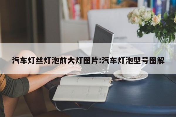 汽车灯丝灯泡前大灯图片:汽车灯泡型号图解
