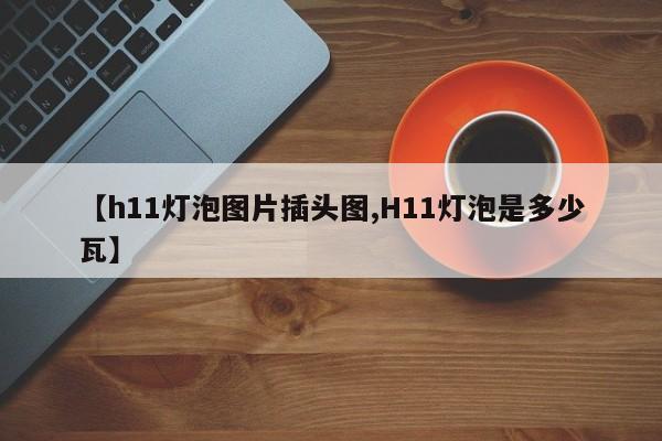 【h11灯泡图片插头图,H11灯泡是多少瓦】