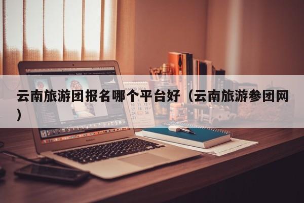 云南旅游团报名哪个平台好(云南旅游参团网)