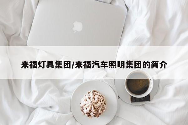 来福灯具集团/来福汽车照明集团的简介