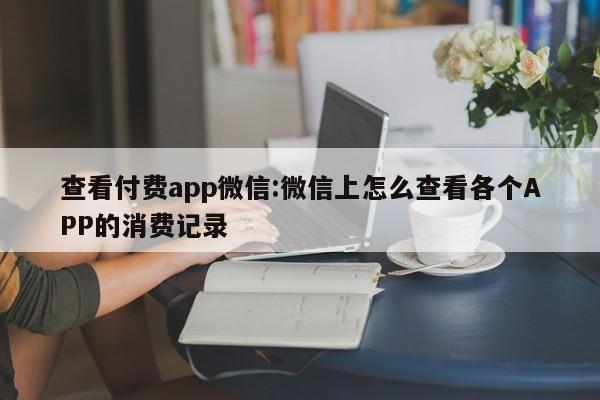 查看付费app微信:微信上怎么查看各个APP的消费记录