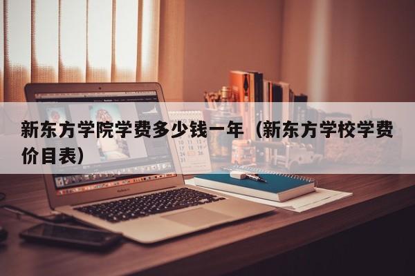 新东方学院学费多少钱一年(新东方学校学费价目表)