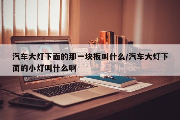 汽车大灯下面的那一块板叫什么/汽车大灯下面的小灯叫什么啊