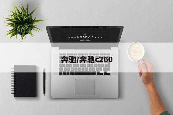 奔驰/奔驰c260